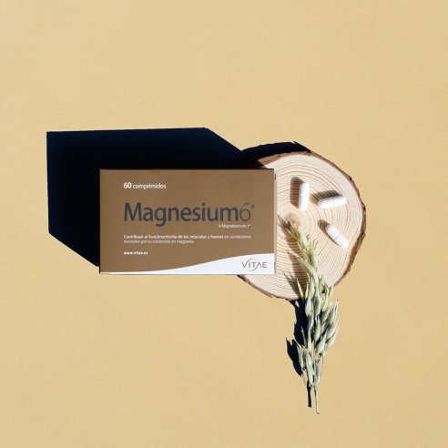 MAGNESIUM 6 60 COMPRIMIDOS